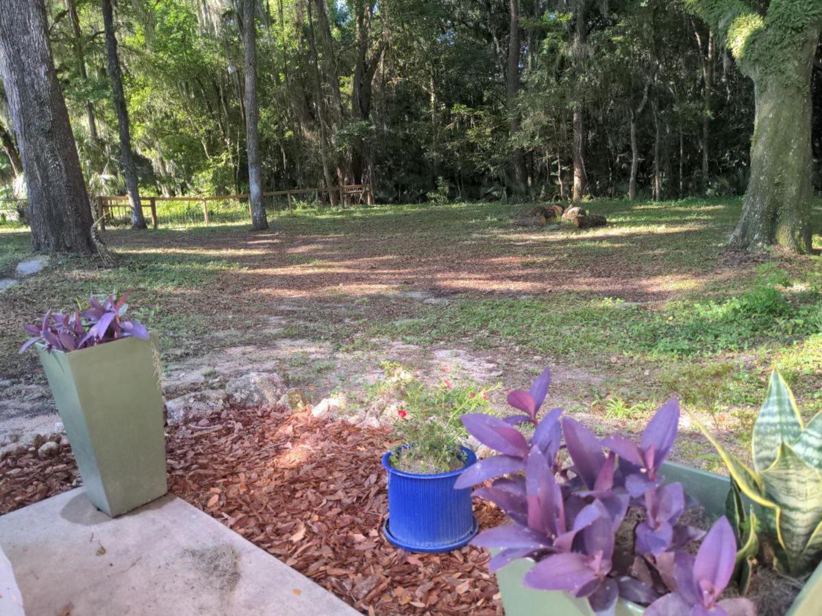 Micanopy Countyline Cottages Экстерьер фото